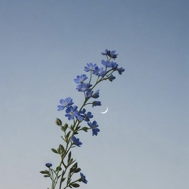 Rose🌸 tweet media