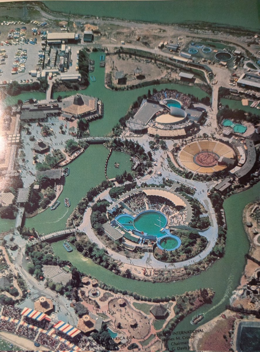 SumarSummers tweet media