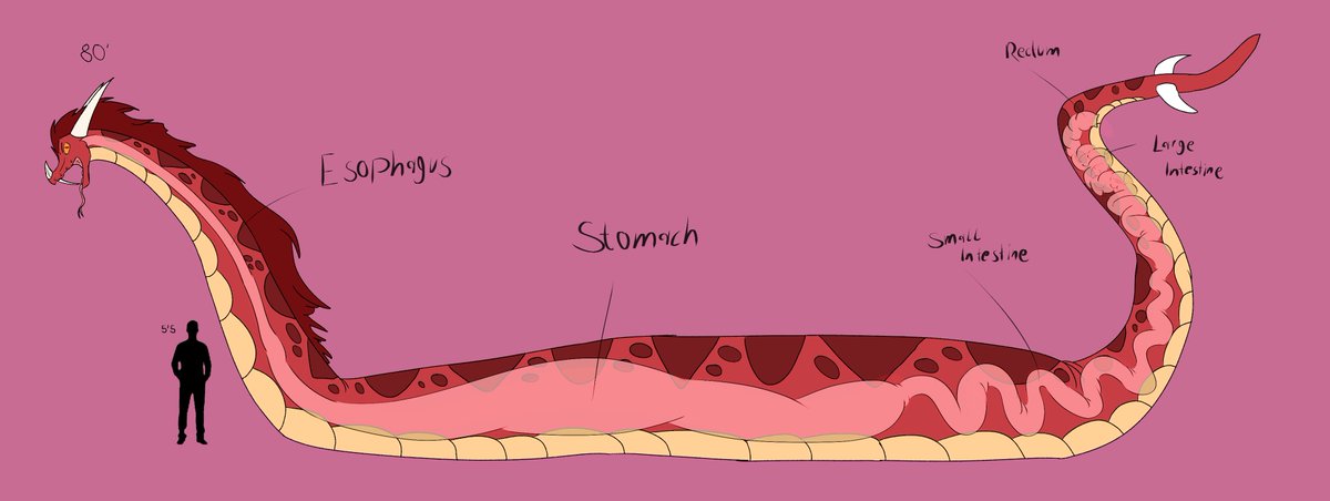 PassyVoreX tweet media