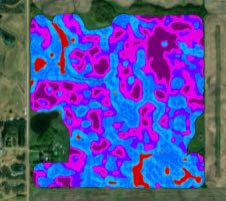 Rachelle Farrell tweet media