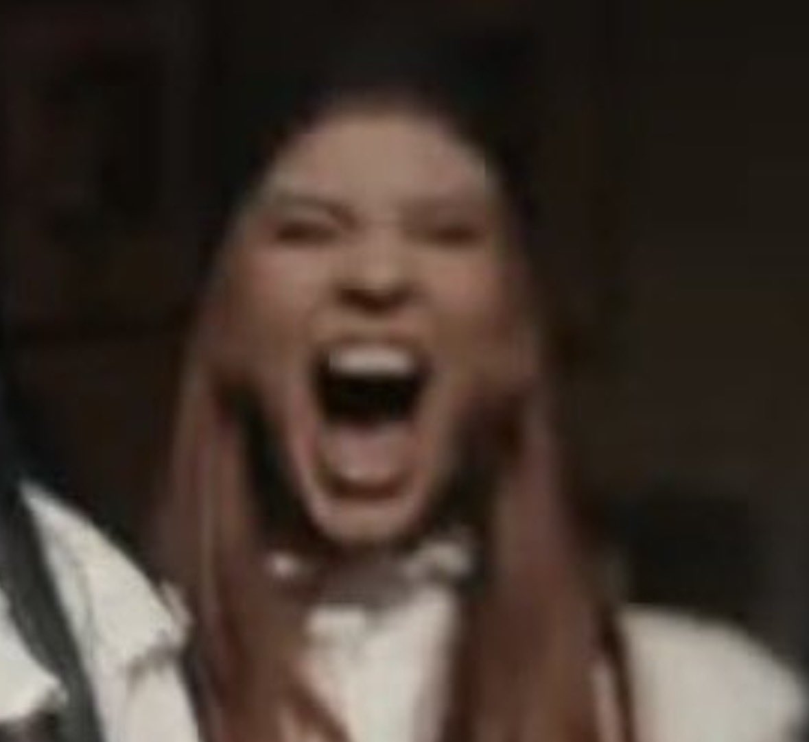 ryan 2 🇲🇪🇩🇰🇭🇷 tweet media