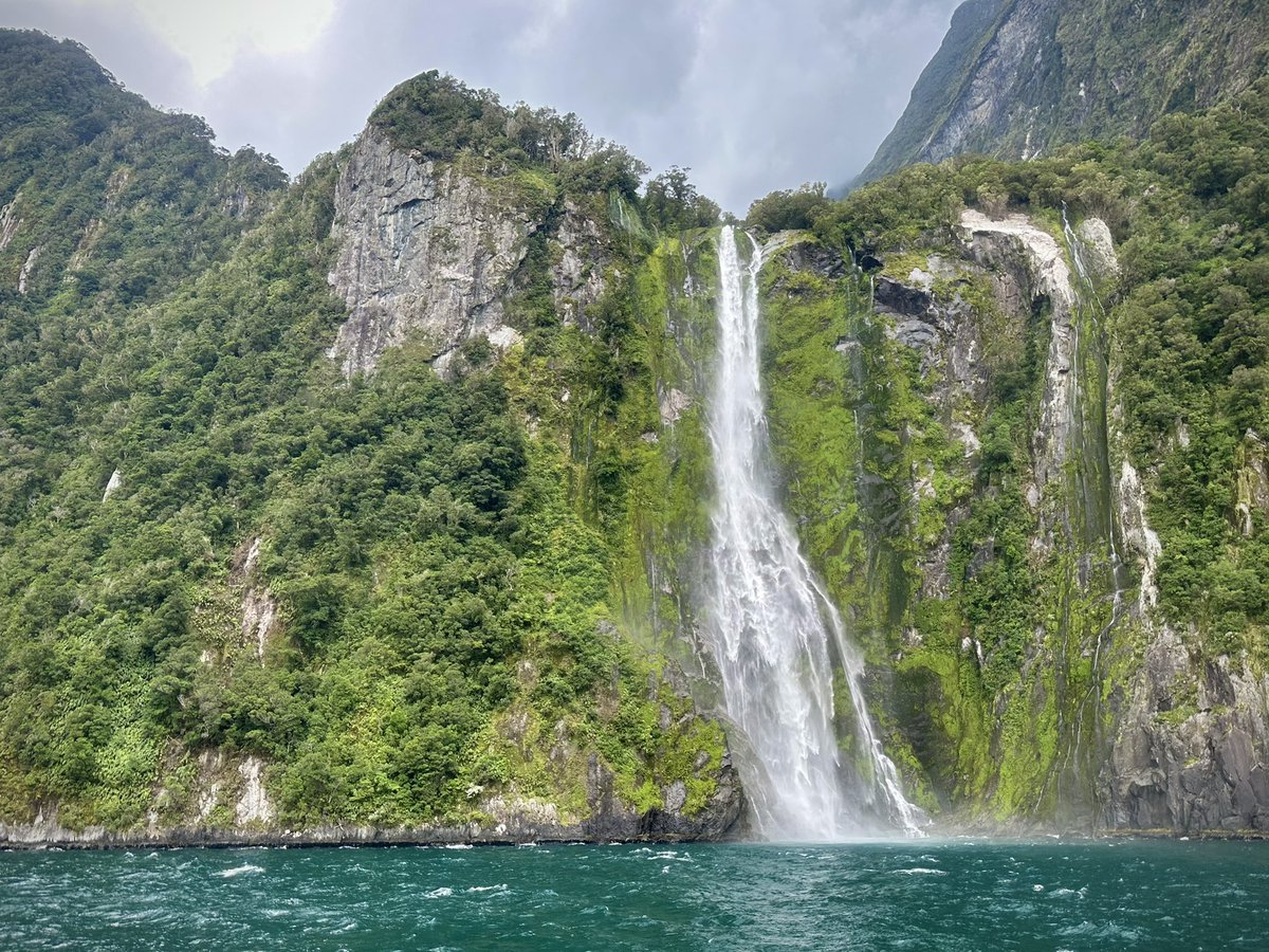 Kevin Palmer tweet media