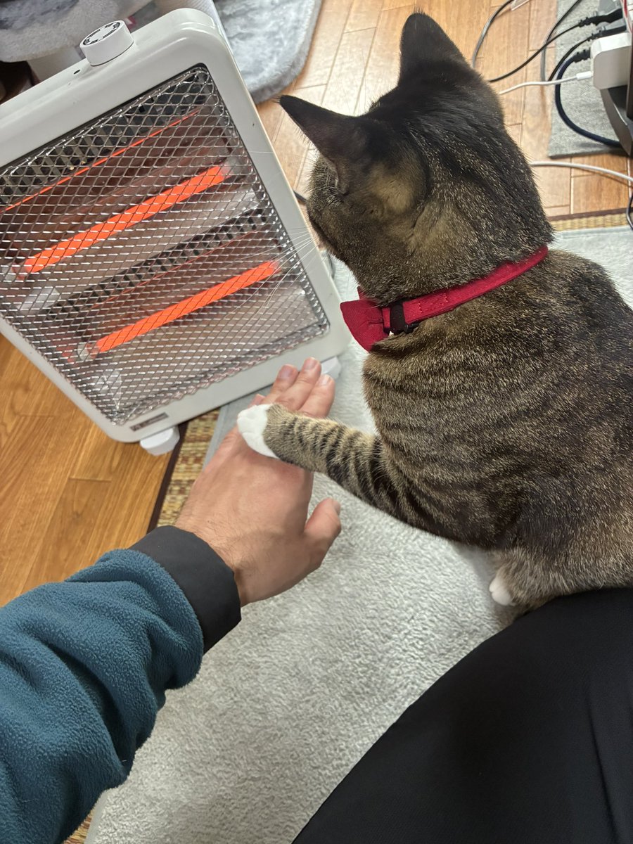 ザビエラー長谷川 tweet media