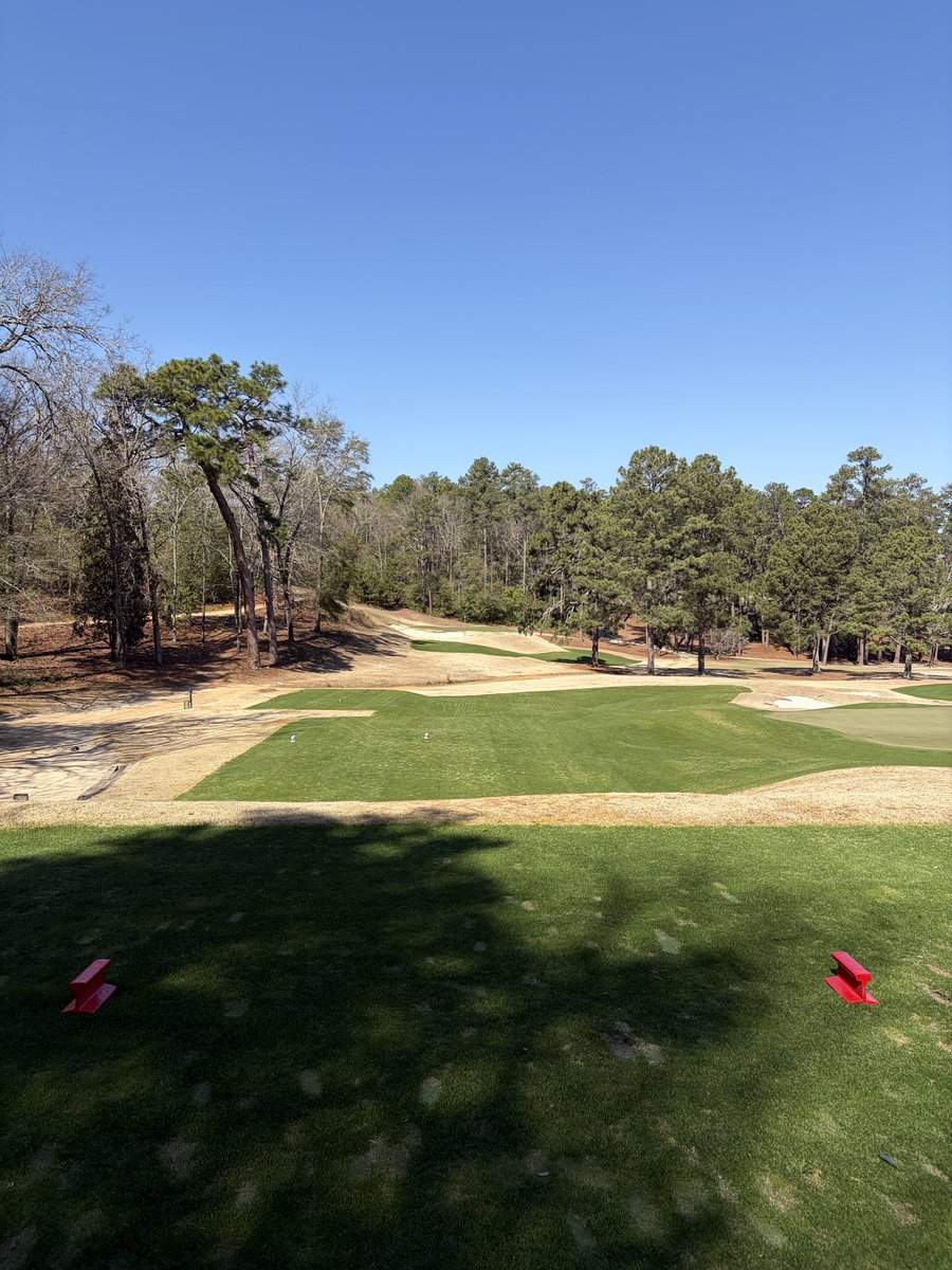 Danny Duberstein tweet media