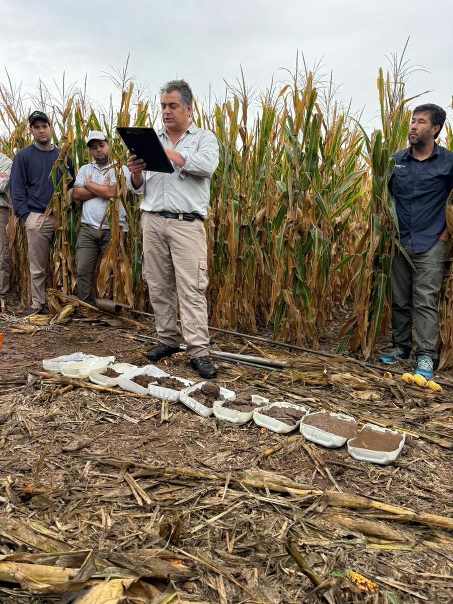 Jorge Mercau 🇦🇷 tweet media