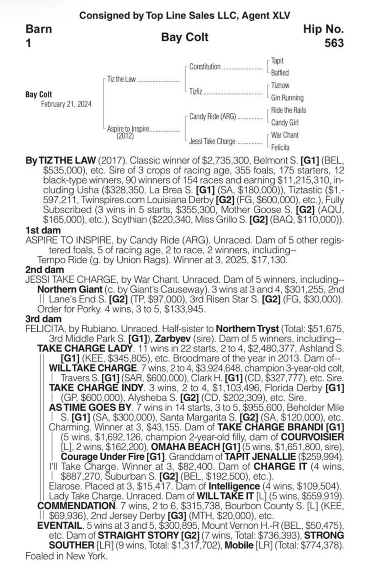 يُونس بنّ علي آل نمر🐎. tweet media