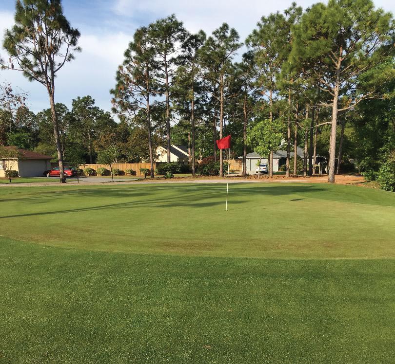 PRB+ Magazine tweet media