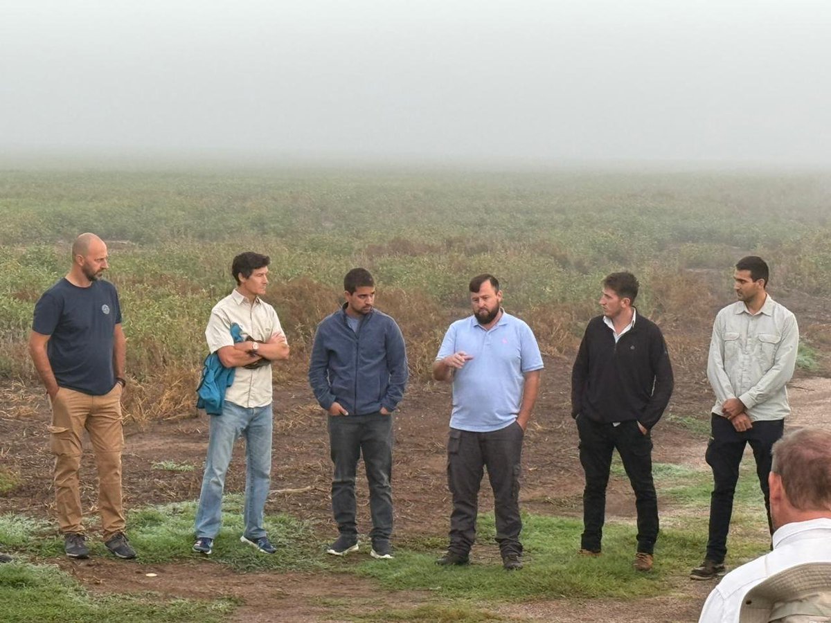 Jorge Mercau 🇦🇷 tweet media