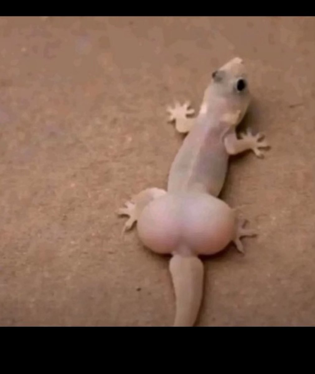 U_Tripping. tweet media