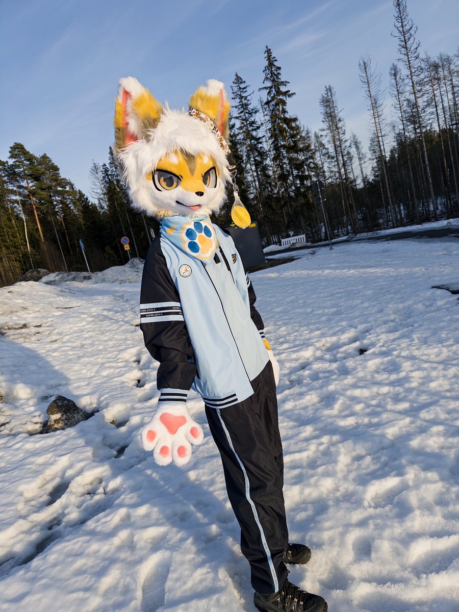 Starfruit🐺 tweet media