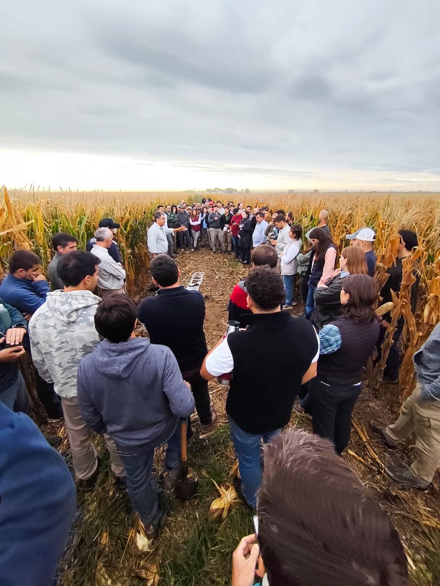 Jorge Mercau 🇦🇷 tweet media