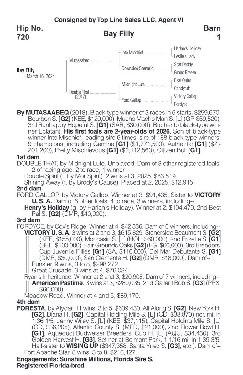 يُونس بنّ علي آل نمر🐎. tweet media