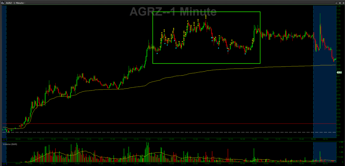 XVNTrading tweet media