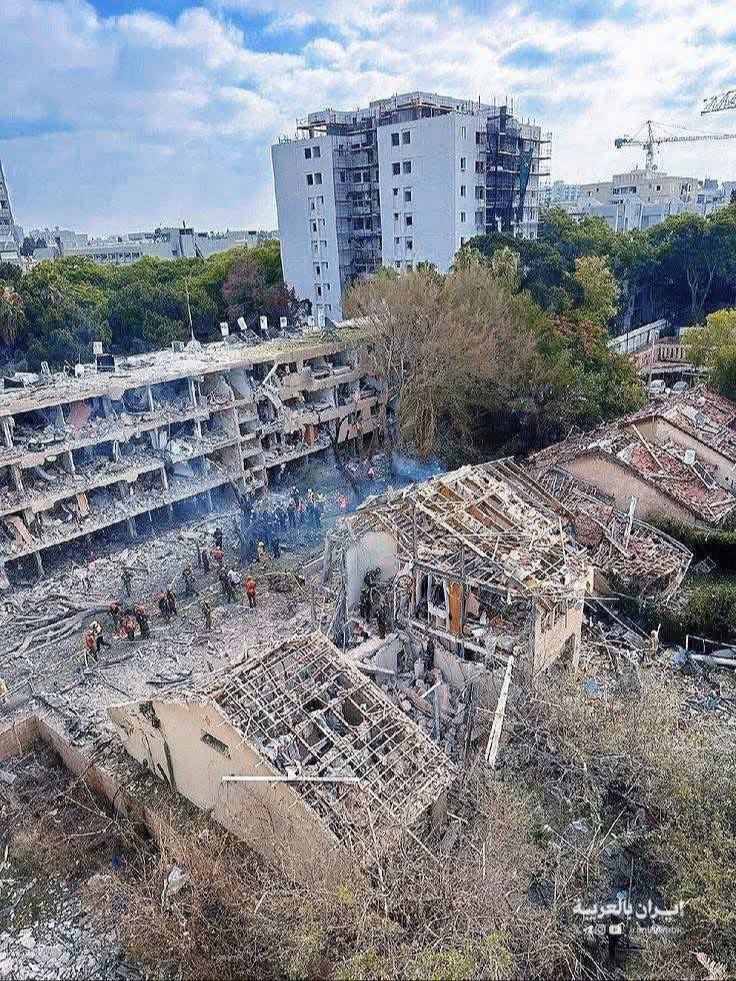 The Web News tweet media