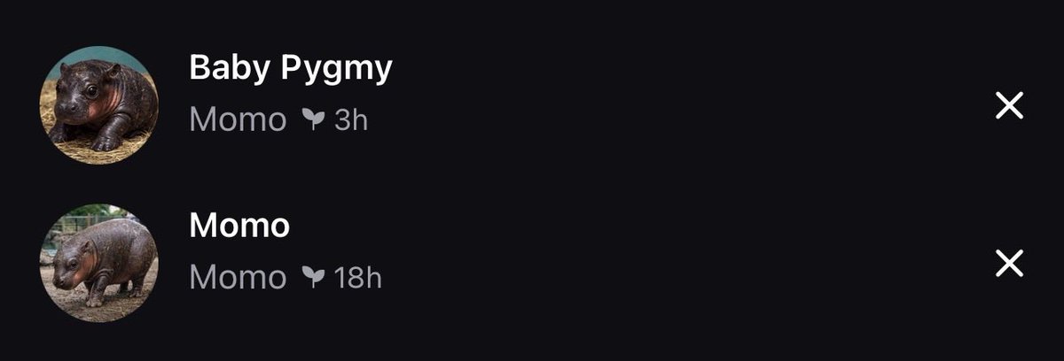 Real OG shit 
We flipped them once, we’ll do it again but 10x harder. 

ABspLjF8nR1r6wYdZkYmJbDYFjStjWq7STZvx8Ehpump