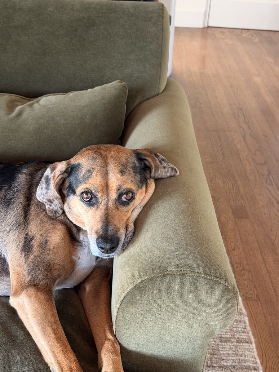 Jason Lee tweet media