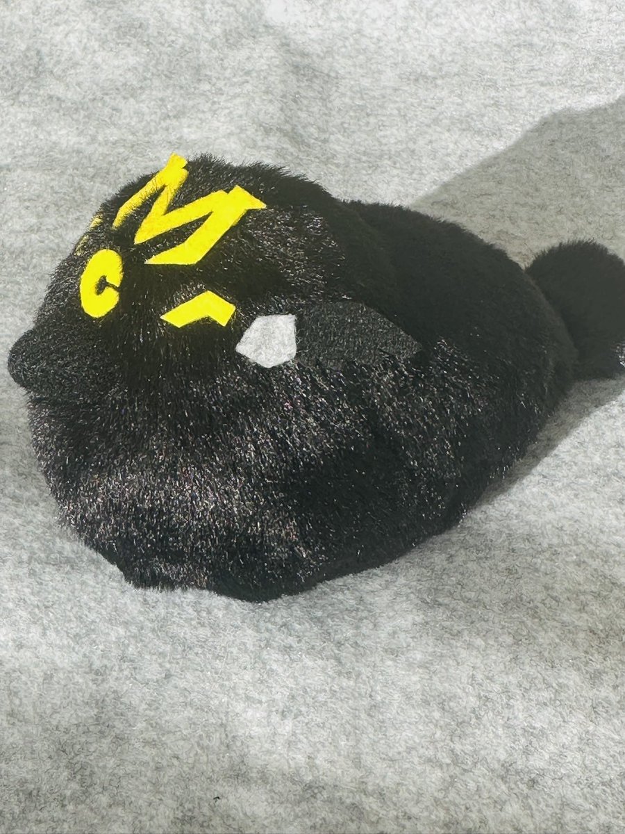 ゆきうさ tweet media