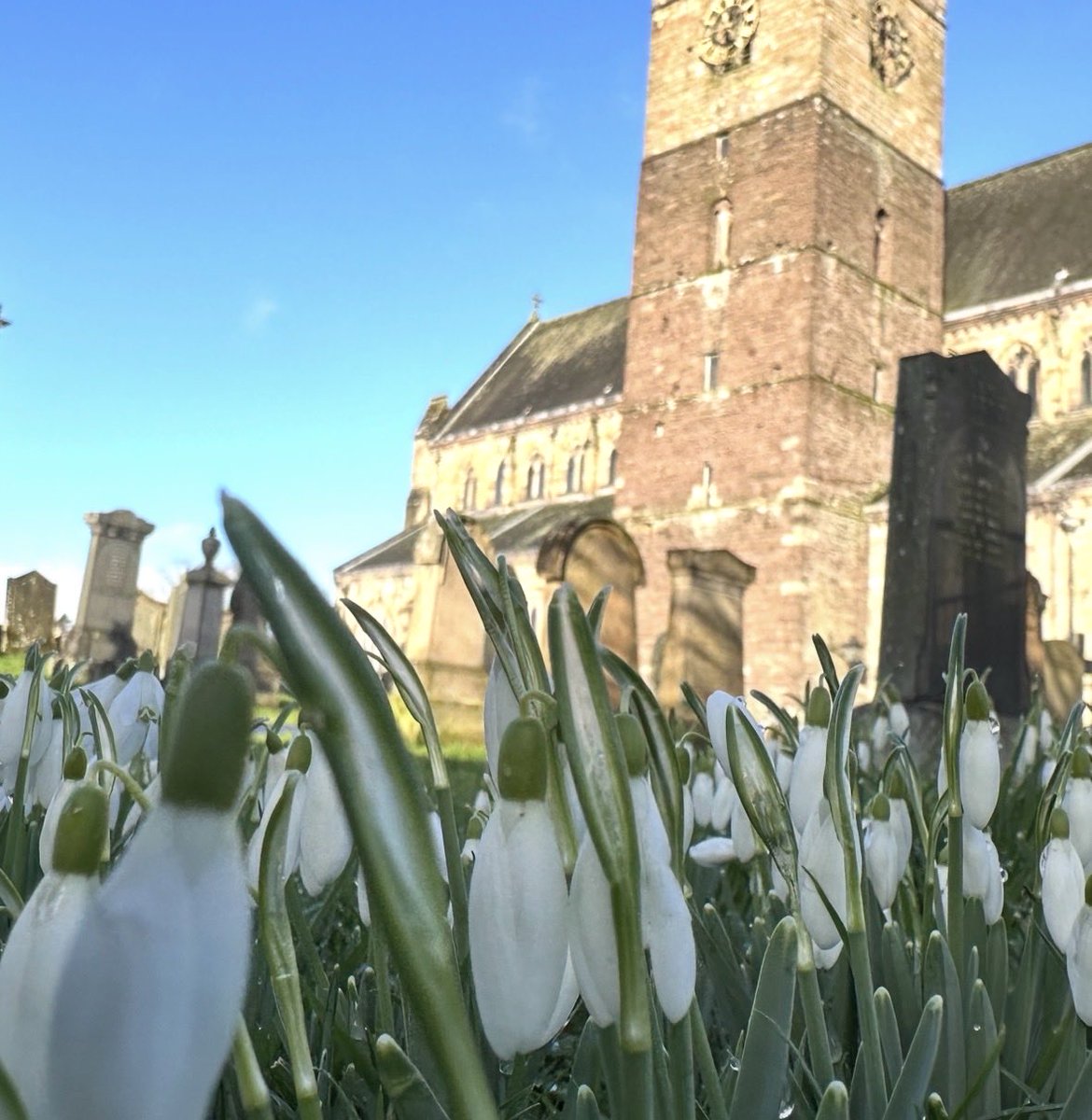 Dunblane Cathedral tweet media