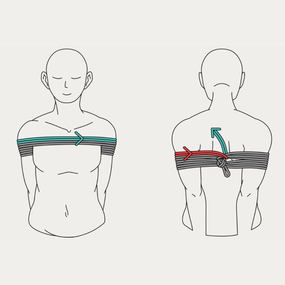 Shibari Study tweet media