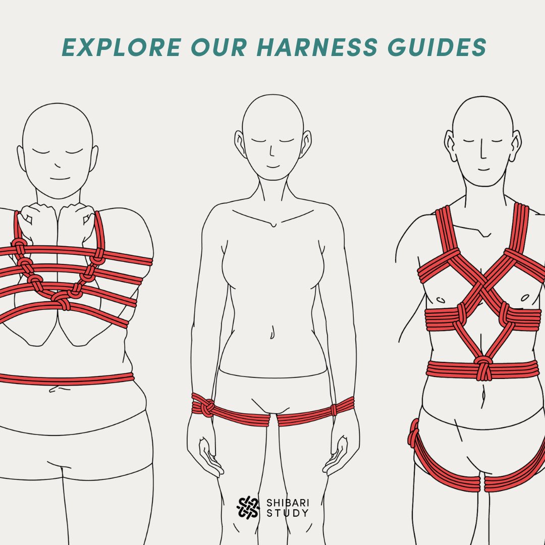 Shibari Study tweet media