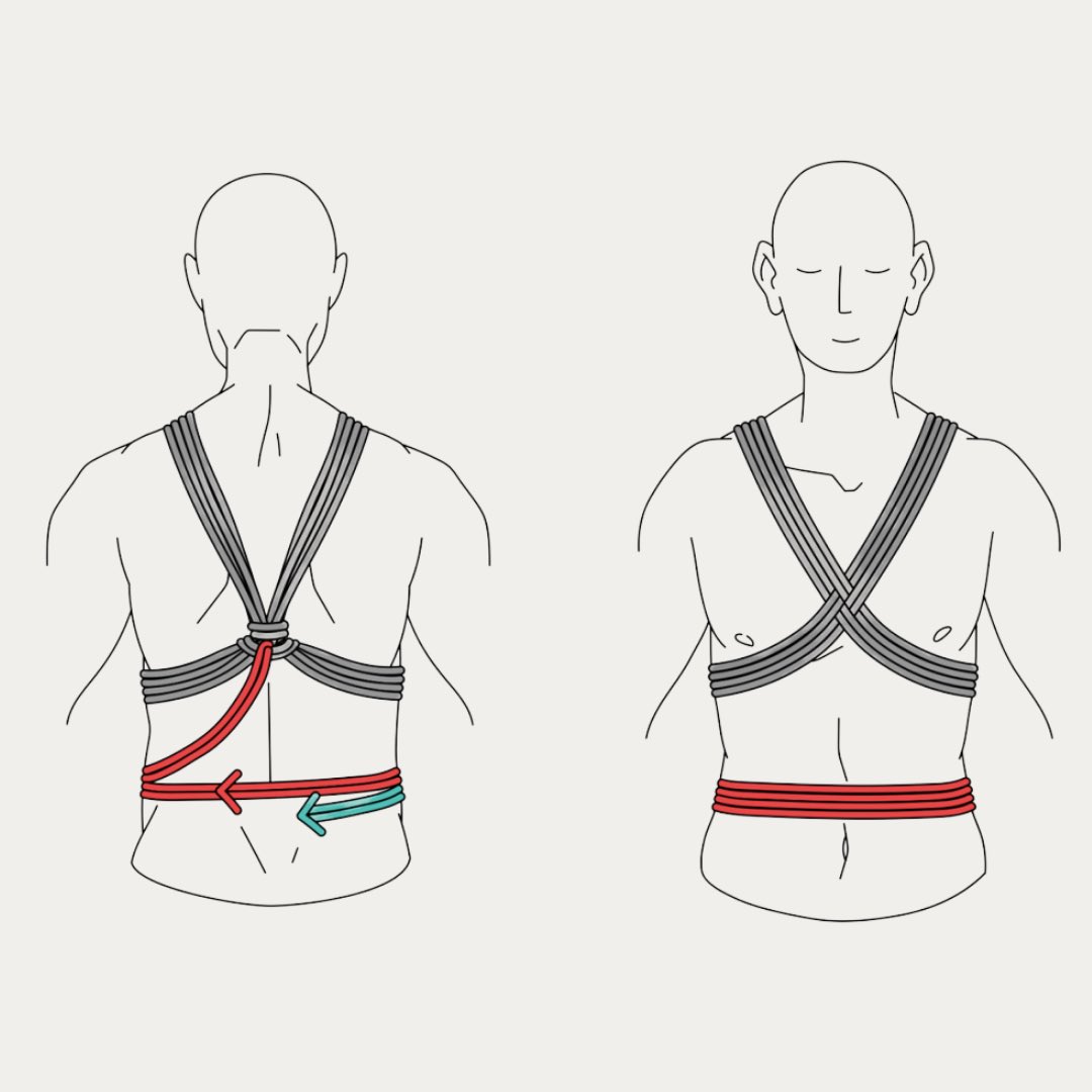 Shibari Study tweet media