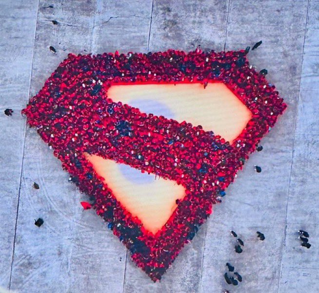 Axel🦇 tweet media