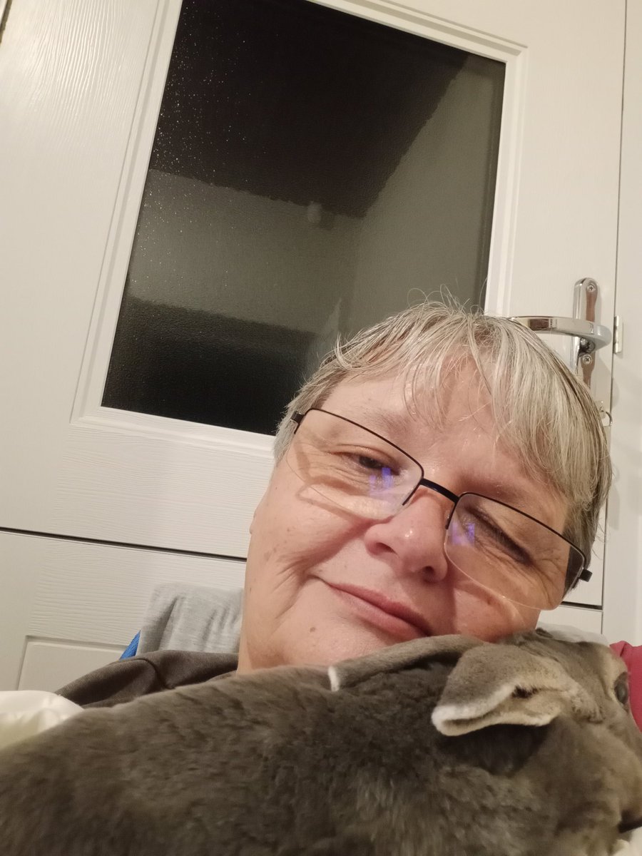 Ben Bunny tweet media