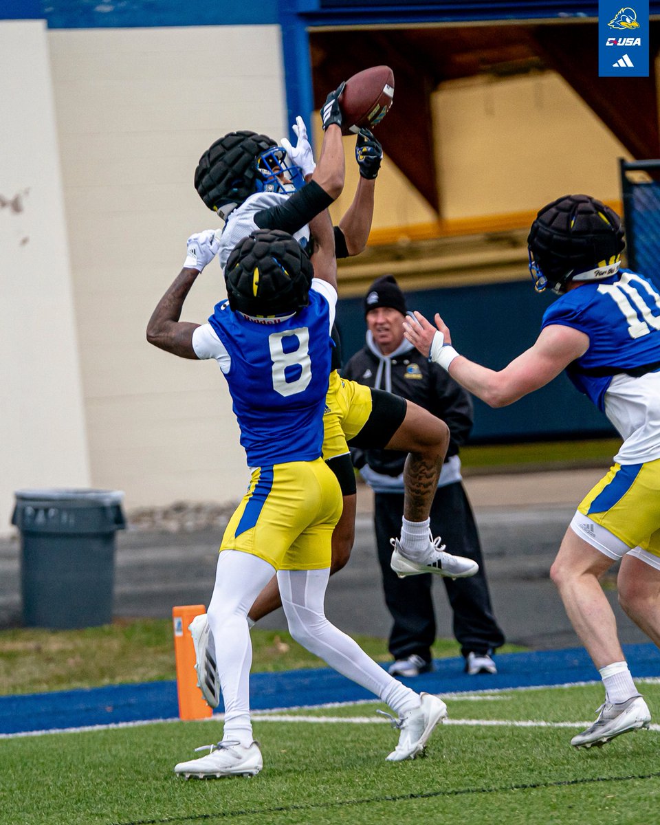 Delaware Football tweet media