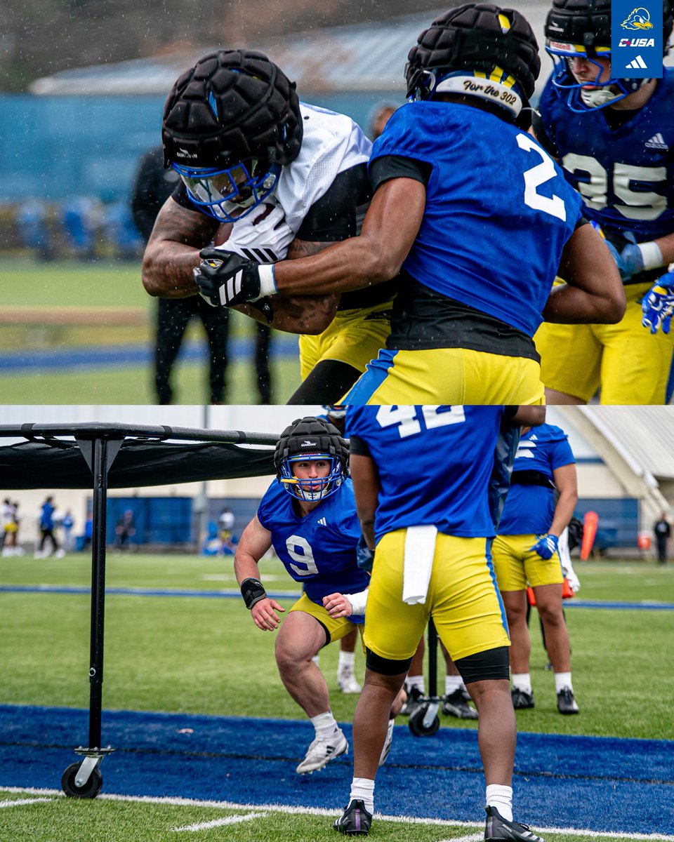 Delaware Football tweet media