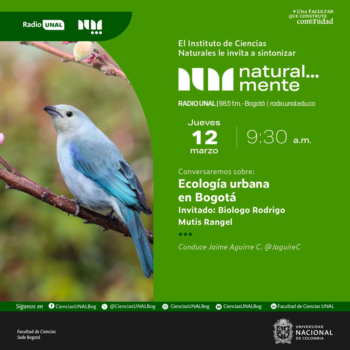 Rodrigo Mutis tweet media