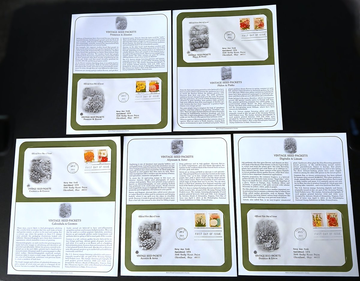 WildcardWares's tweet photo. 2013 Vintage Seed Packets Complete Set PCS USPS FDC 1st Day Cover Cachet
#Vintage #Seed #Packets #Vintage #Seed #Packets #Complete #PCS #USPS #FDC #1stDayCover #Cachet #Ebay #WildcardWarehouse
https://t.co/qVCVn52353 https://t.co/OldjryGx6d