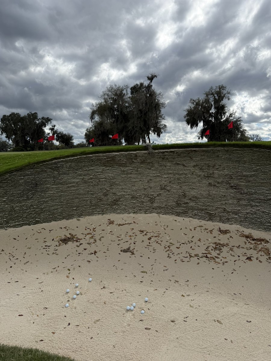 Chuck Sandberg tweet media