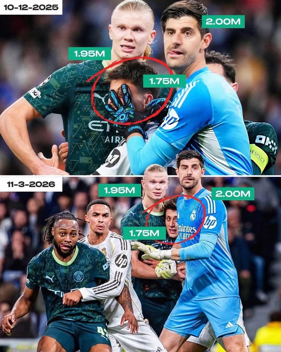 سلطان tweet media