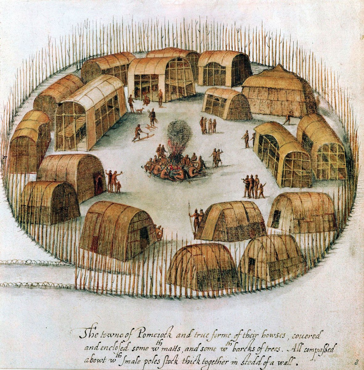Archaeo - Histories tweet media