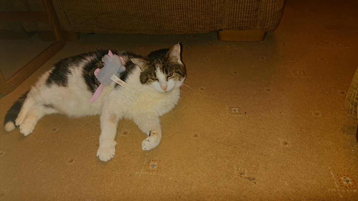 Chris Smith (007) tweet media