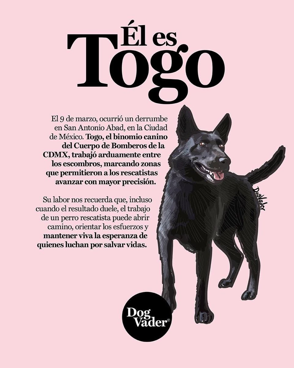 EnTlalpan's tweet photo. Buen jueves, #vecinEs #enTlalpan!
-
Jueves para homenajear a Togo y todos los “binomios caninos” que salvan vidas.
- https://t.co/odpFz0Pa28