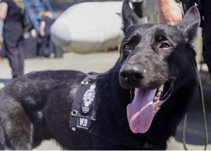 BC CO Service tweet media