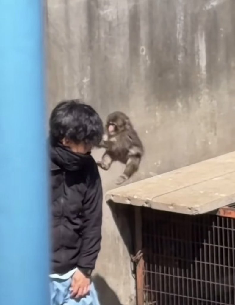 나 안아 🙊🫶🏻✨

#punch #punchi #パンチ