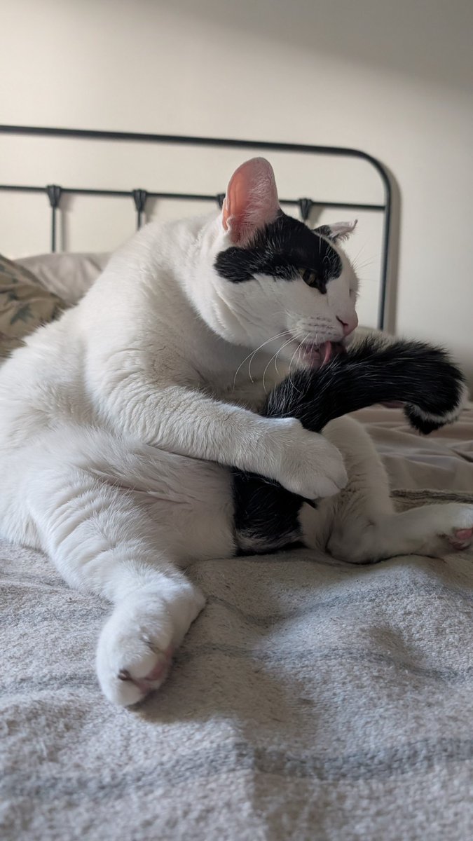 meme 💚 tweet media