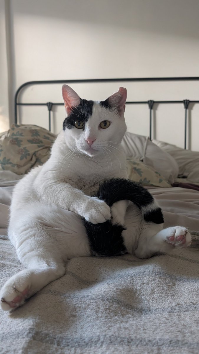 meme 💚 tweet media