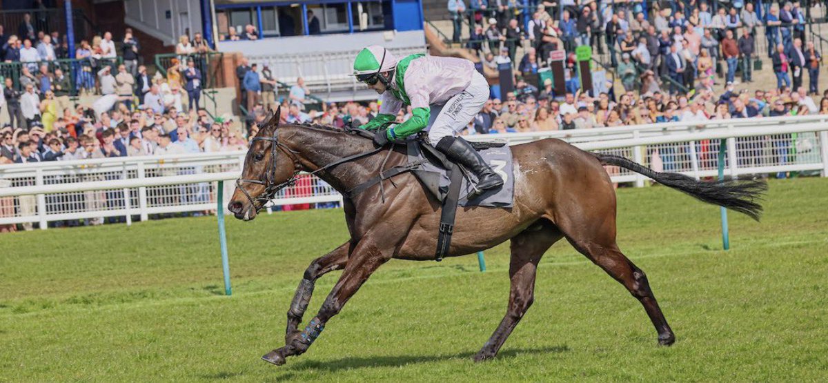 Richardlewisevans tweet media