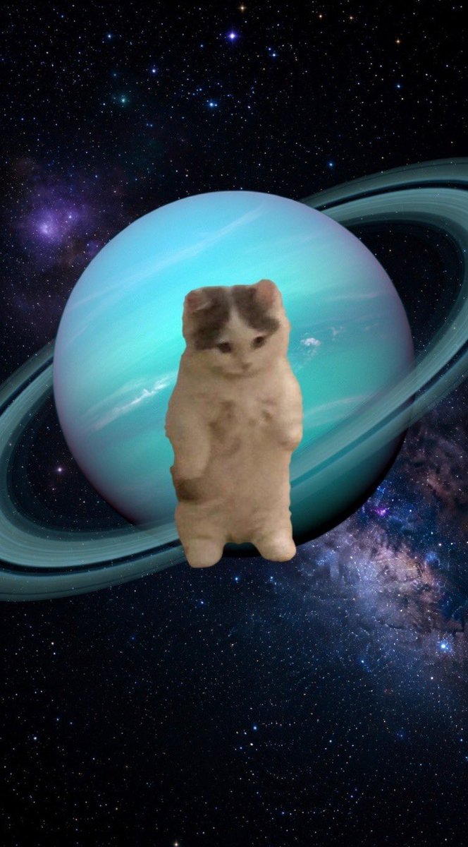 𝐍𝐨𝟗𝐭𝐨𝟓𝐩𝐚𝐲𝐜𝐡𝐞𝐱 tweet media