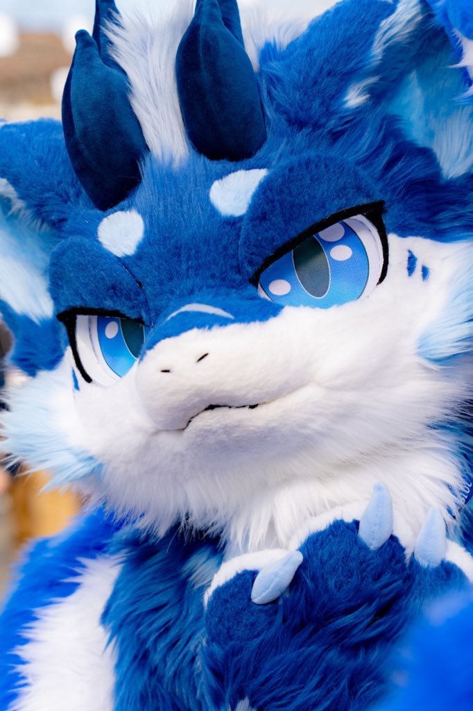 zVoR_JiLL🇯🇵 tweet media