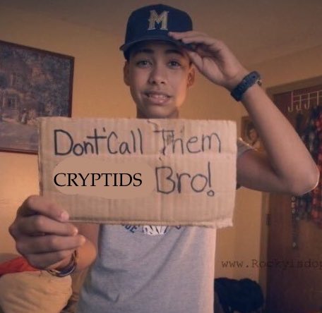 Trey the Explainer 🔜 FWA tweet media