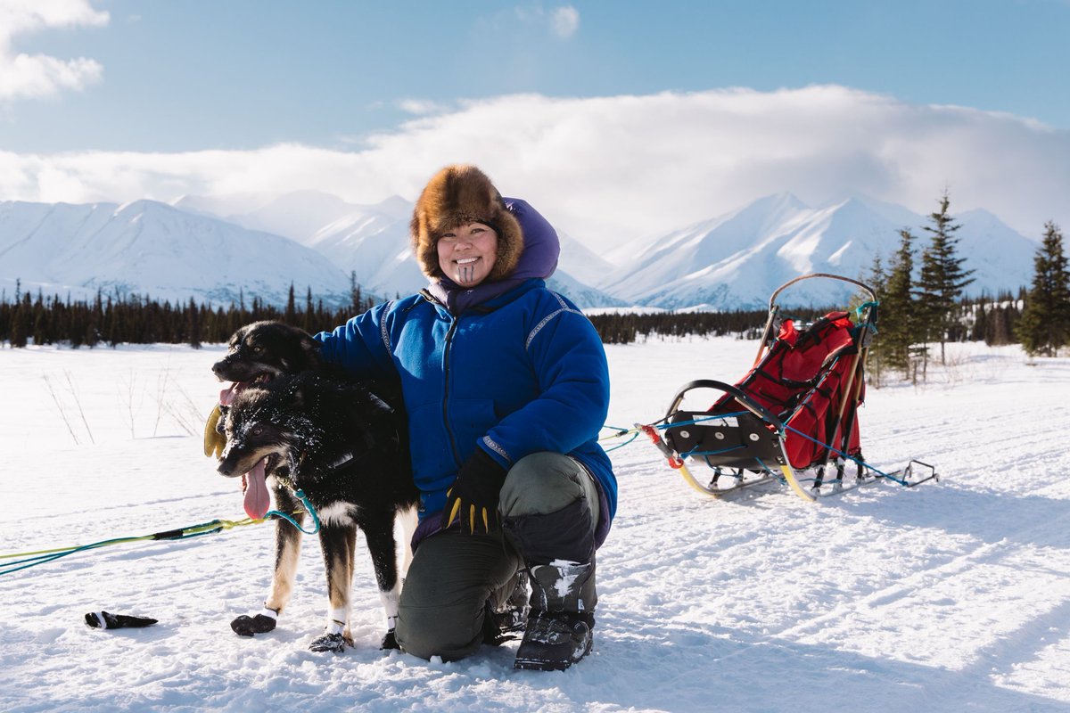 The Alaska Current tweet media