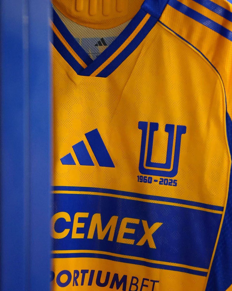 TigresOficial's tweet photo. 💛👊🏼 ¡Noche de @TheChampions y nuestra piel siempre lista! https://t.co/dKlqasrHCJ