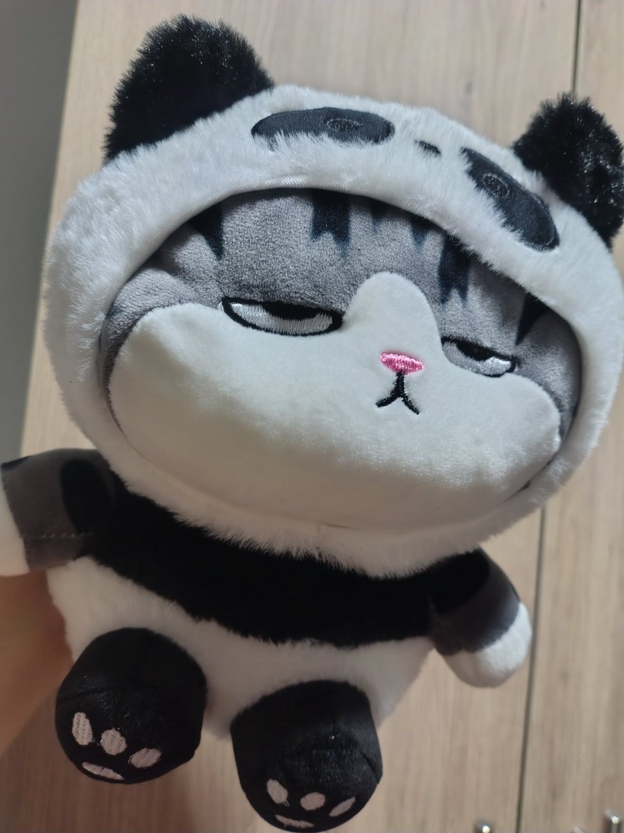 Emilia R.S.³⁵🐼💙🌰🦋 tweet media