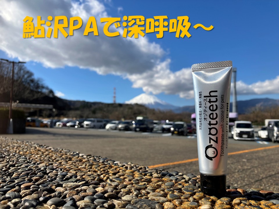 ozofine28's tweet photo. 鮎沢PAで休憩。
鮎（あゆ）だけに、旅もスイスイ。

<新発売>
犬猫用　口腔ケアジェル「Ozoteeth：オゾティース」
オゾンの力で気になるお口のニオイをケア

お問合せは、下記ＨPまで。
https://t.co/5tJpLlOSC9

#おやじギャグ炸裂
#犬猫用口腔ケア用品
#口臭対策
#ペット用品 https://t.co/nGwh9h558k