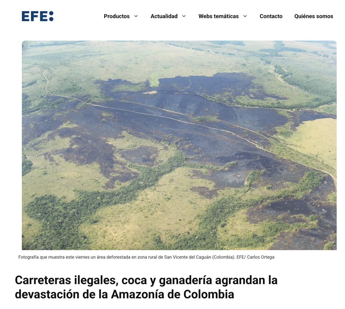 Fundación para la Conservación y el Desarrollo tweet media