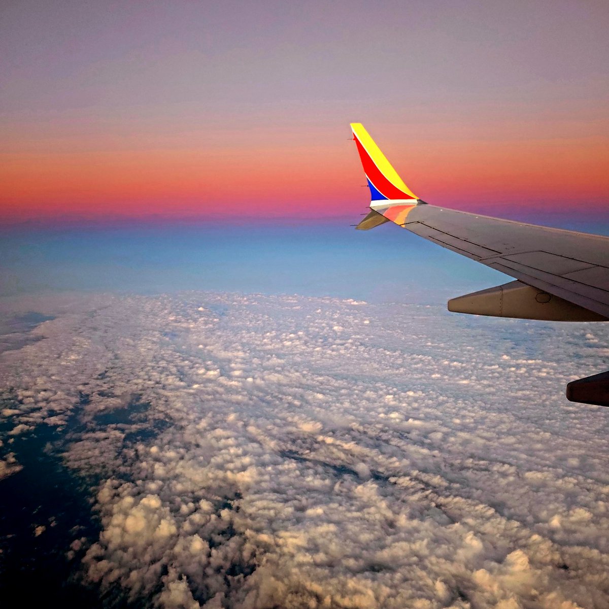 Karley Moore tweet media